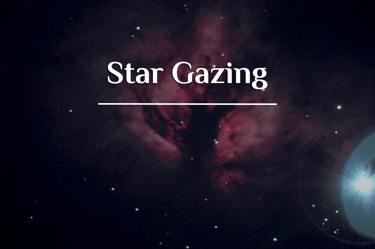 Star Gazing